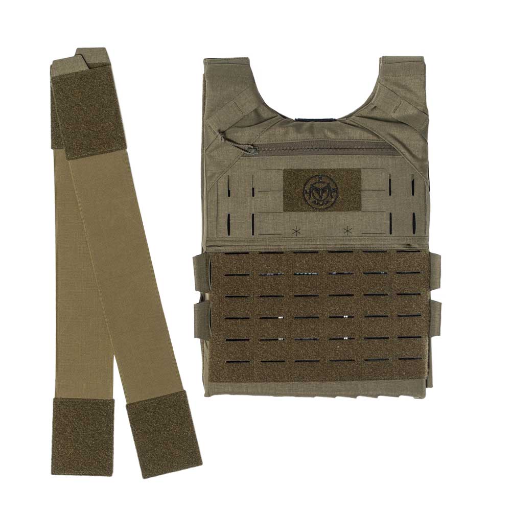 LFS Light Infantry Plate Carrier (scout kit)