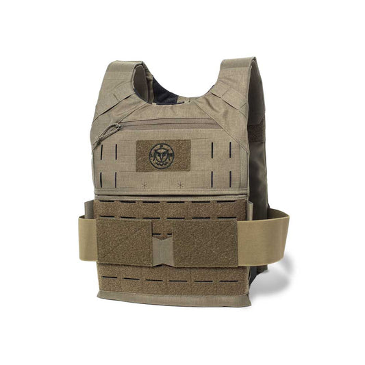 LFS Light Infantry Plate Carrier (scout kit)